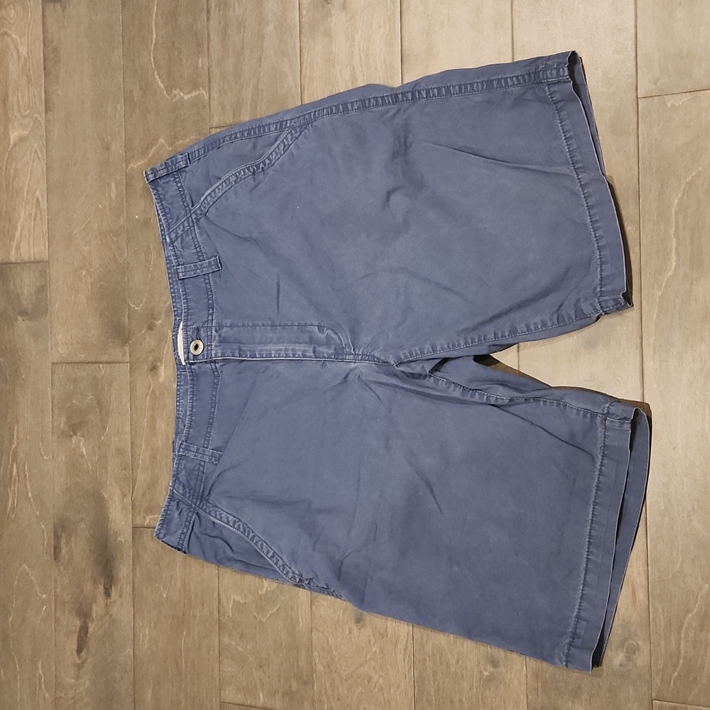 Express Men's Blue Shorts Size 36